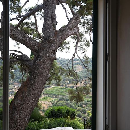 Uliveto Saglietto Agriturismo A Poggi Apartments Imperia Exterior foto