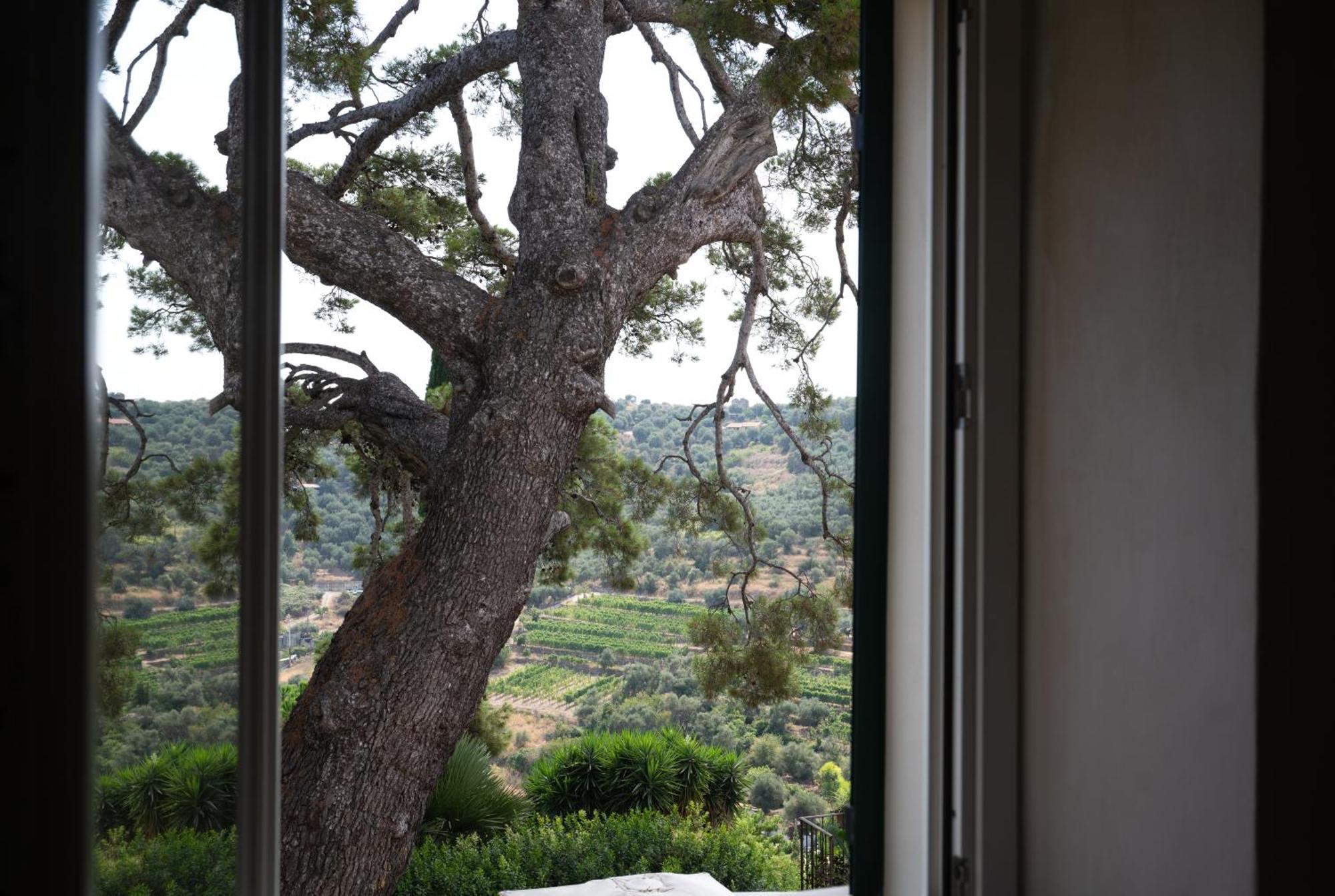 Uliveto Saglietto Agriturismo A Poggi Apartments Imperia Exterior foto